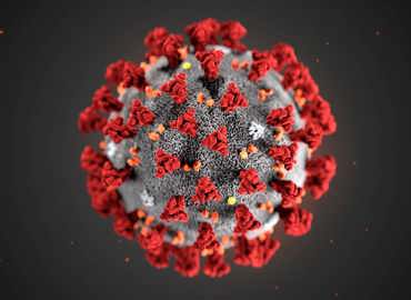 c0481846-wuhan_novel_coronavirus_illustration-spl.jpg